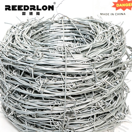 The school summer camp uses barbed wire for military training The school summer camp uses barbed wire for military training